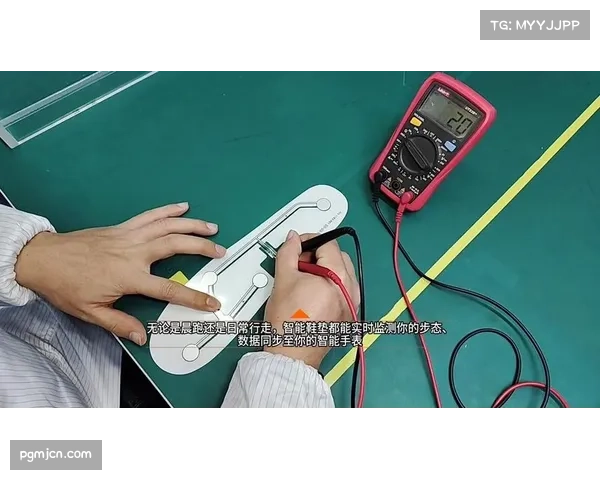 长跑赛事中压力传感鞋垫监测运动员着地方式与平衡性研究 长跑赛事中压力传感鞋垫监测运动员着地方式与平衡性研究